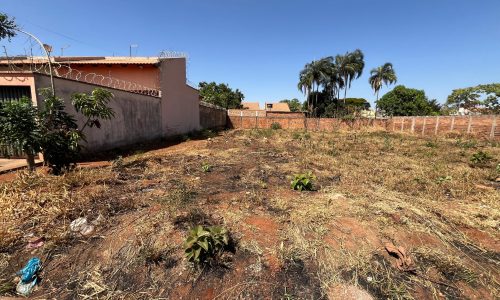 whatsapp image 2024 09 12 at 11.30.20 (1)