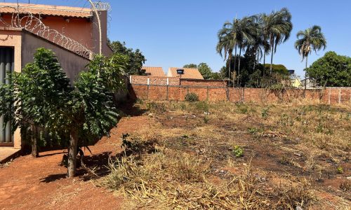 whatsapp image 2024 09 12 at 11.30.21 (1)