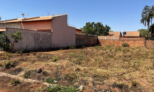 whatsapp image 2024 09 12 at 11.30.22 (1)