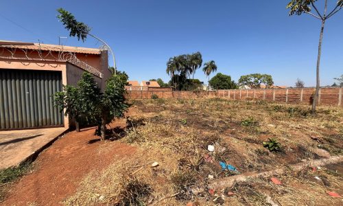 whatsapp image 2024 09 12 at 11.30.22